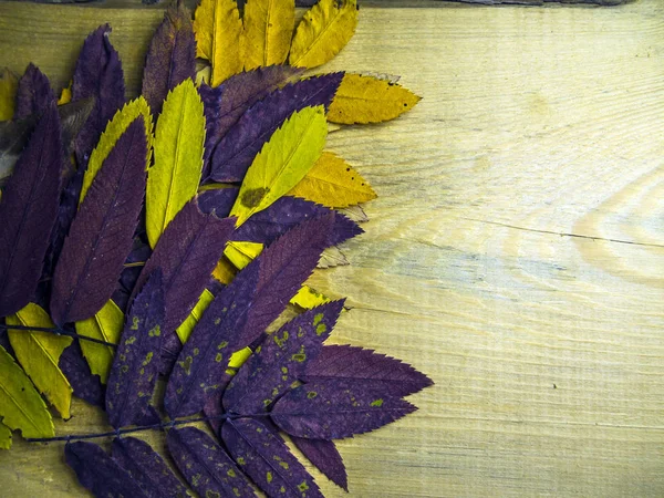 hacimsel doku nesneleri