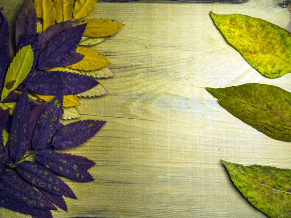 hacimsel doku nesneleri