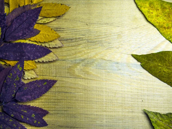 hacimsel doku nesneleri