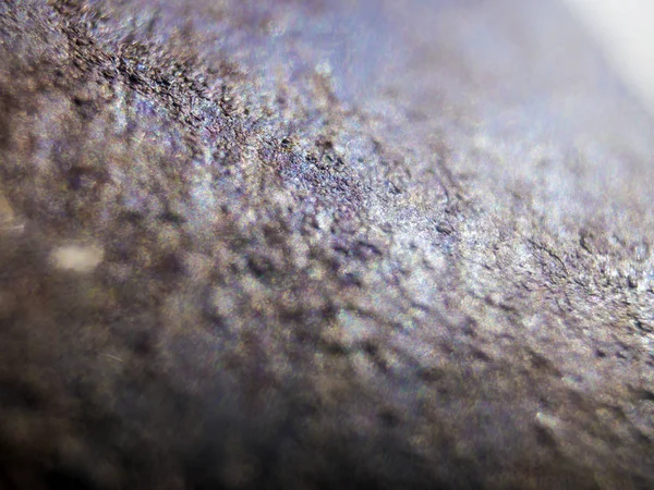 hacimsel doku nesneleri