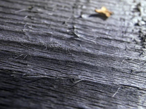 hacimsel doku nesneleri