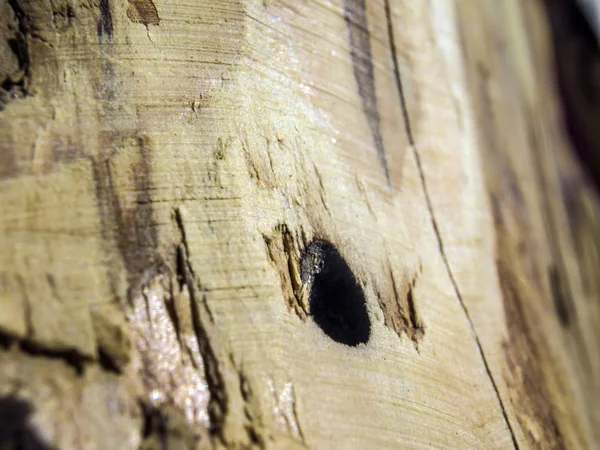 hacimsel doku nesneleri