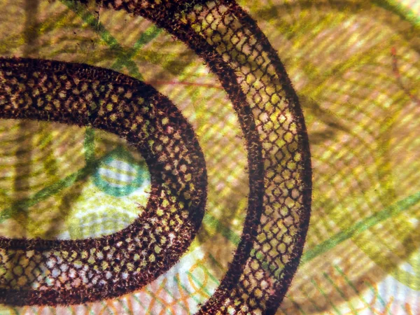 hacimsel doku nesneleri