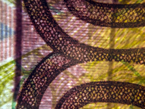 hacimsel doku nesneleri