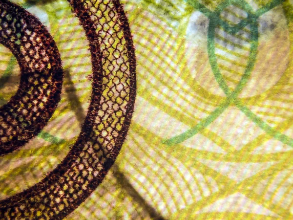 hacimsel doku nesneleri