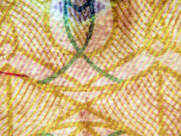 hacimsel doku nesneleri