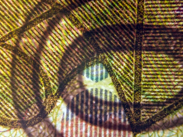 hacimsel doku nesneleri