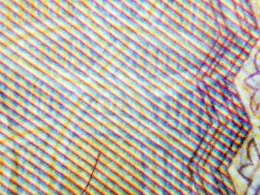 hacimsel doku nesneleri