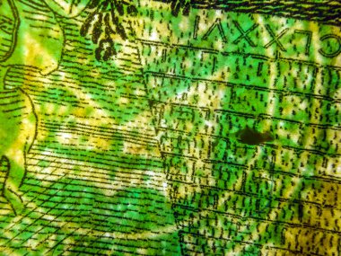 hacimsel doku nesneleri