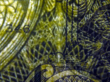 hacimsel doku nesneleri