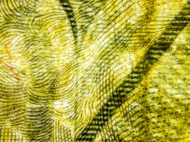 hacimsel doku nesneleri