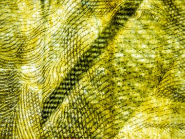 hacimsel doku nesneleri