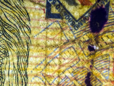 hacimsel doku nesneleri