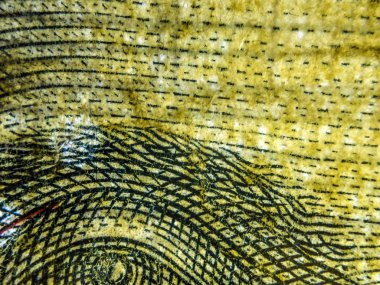 hacimsel doku nesneleri