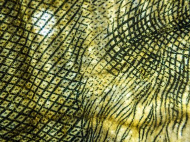 hacimsel doku nesneleri