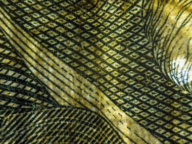 hacimsel doku nesneleri