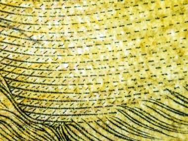 hacimsel doku nesneleri