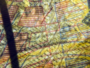 hacimsel doku nesneleri