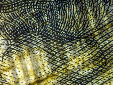 hacimsel doku nesneleri