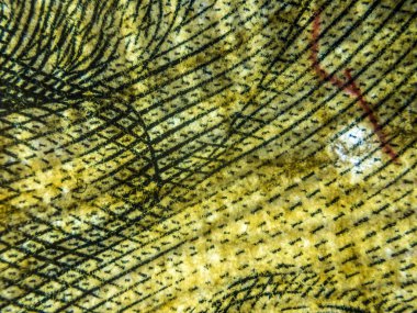 hacimsel doku nesneleri