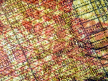 hacimsel doku nesneleri