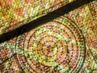 hacimsel doku nesneleri