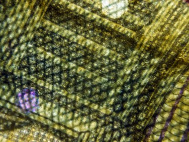 hacimsel doku nesneleri