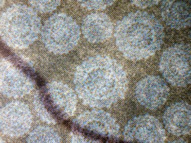 hacimsel doku nesneleri