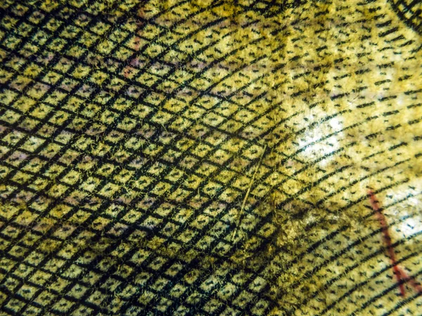 hacimsel doku nesneleri