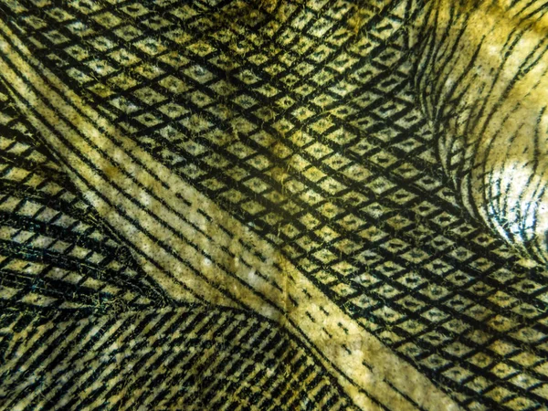 hacimsel doku nesneleri