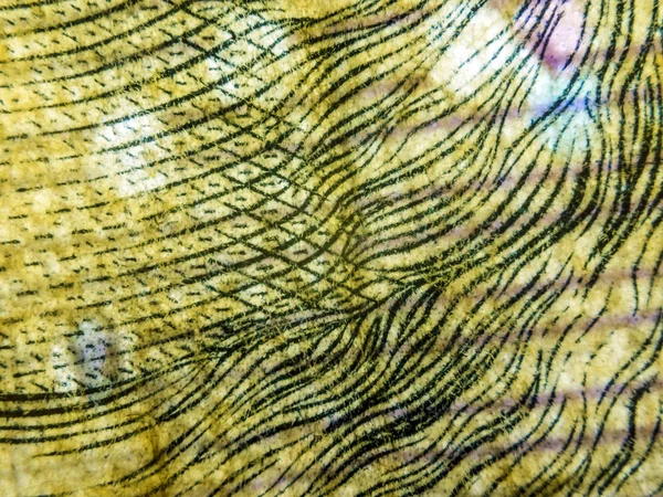 hacimsel doku nesneleri