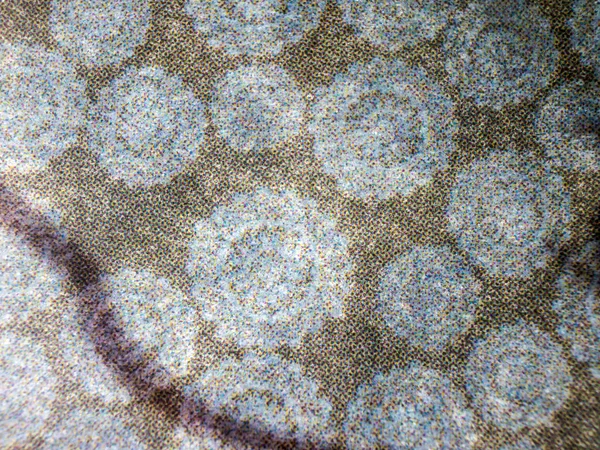 hacimsel doku nesneleri