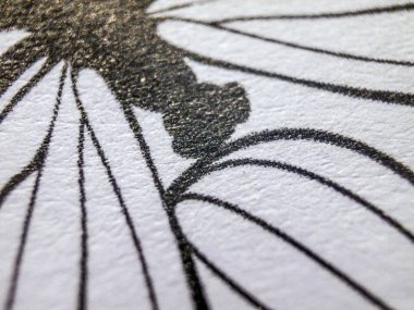 hacimsel doku nesneleri