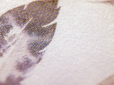 hacimsel doku nesneleri