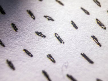 hacimsel doku nesneleri