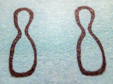 hacimsel doku nesneleri