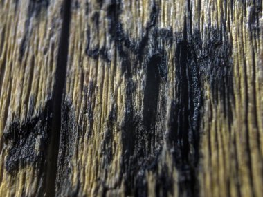 hacimsel doku nesneleri