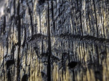 hacimsel doku nesneleri