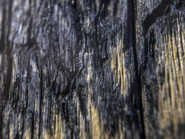 hacimsel doku nesneleri