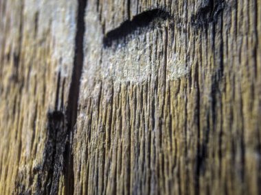 hacimsel doku nesneleri