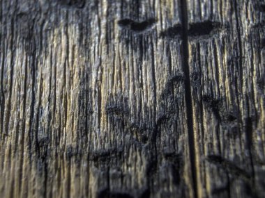 hacimsel doku nesneleri