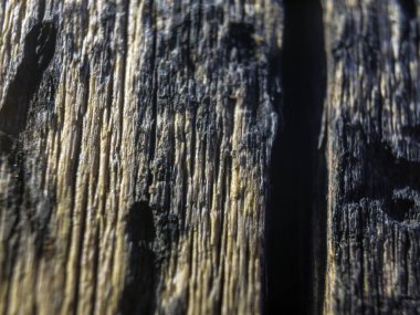 hacimsel doku nesneleri