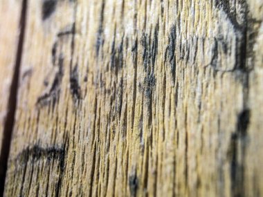 hacimsel doku nesneleri