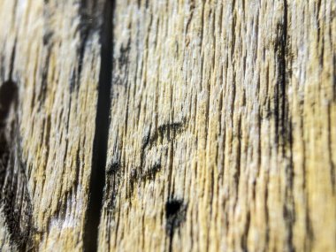 hacimsel doku nesneleri