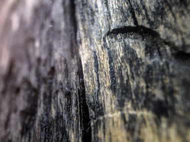 hacimsel doku nesneleri