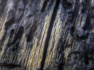 hacimsel doku nesneleri