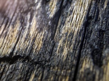 hacimsel doku nesneleri