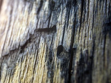 hacimsel doku nesneleri