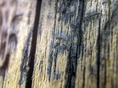 hacimsel doku nesneleri