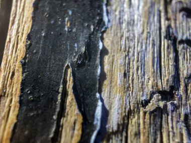 hacimsel doku nesneleri